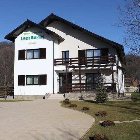 Pensiunea Livada Bunicului Stanesti  Exterior photo