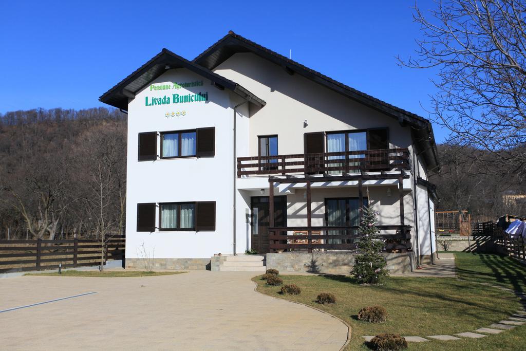 Pensiunea Livada Bunicului Stanesti  Exterior photo