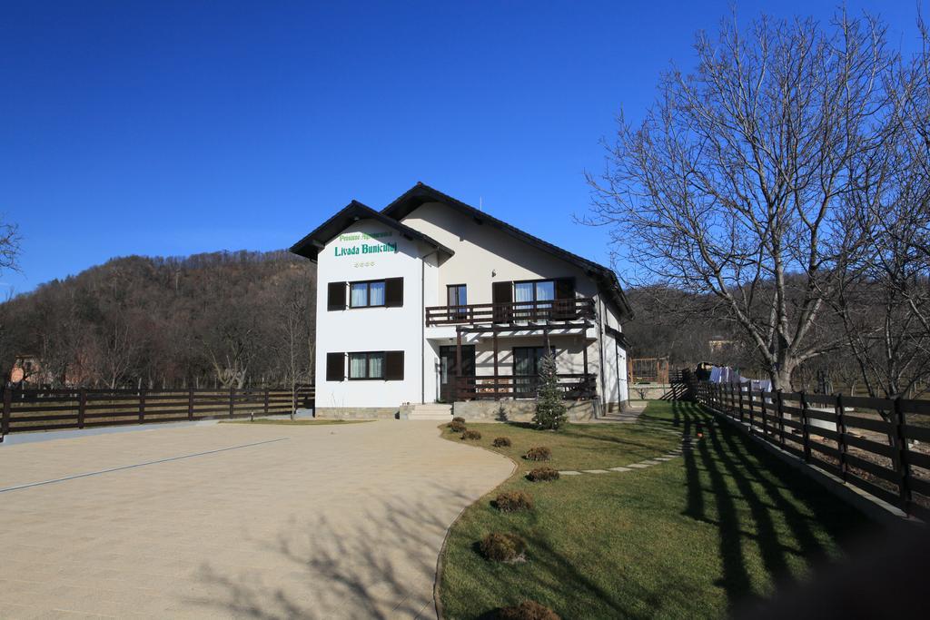 Pensiunea Livada Bunicului Stanesti  Exterior photo